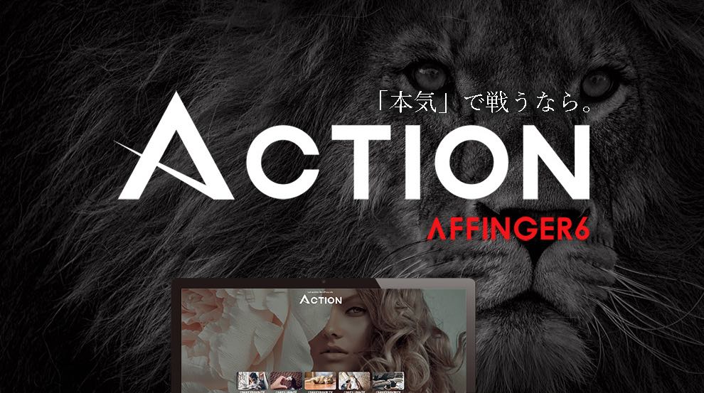 引用:AFFINGER公式サイト